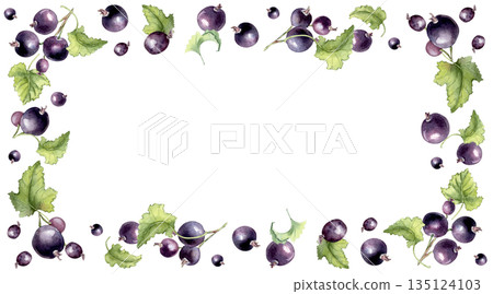 Watercolor frame border of purple berries and leaves isolated on white. Black currant hand painted for design elements, recipe card. Organic fresh berry and green leaf border with copy space. 135124103