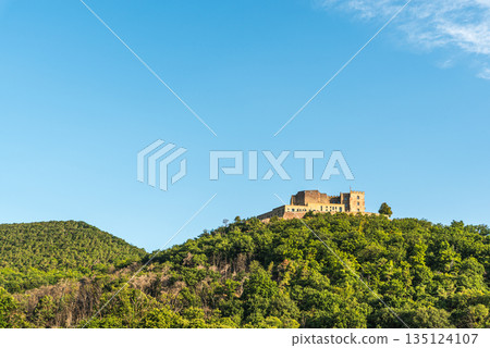Hambach Castle on forested hill, Neustadt an der Weinstrasse, Rhineland-Palatinate, Germany Hambach Castle on forested hill, Neustadt an der Weinstrasse, Rhineland-Palatinate, Germany 135124107