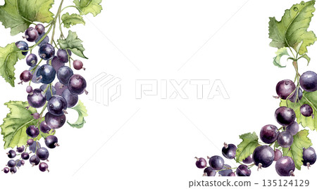 Watercolor border with black currant branches green leaves and water drops isolated white. Fresh ripe purple berries hand drawn. Natural berry frame for food, drink, cosmetic product design. 135124129