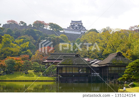 滋賀縣彥根市彥根城源久園（臨地閣、鳳秀台、天守閣）（深秋） 135124154