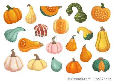 Set Of Different Vector Pumpkins, Classic Orange Gourd Perfect For Carving, Baking, Or Decorating During Fall Season 135124546