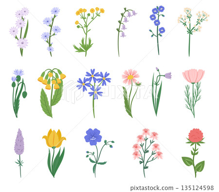Set Of Wildflowers Features A Stunning Array Of Colors, Including Purple, Pink, And Yellow, Wild Flowers Collection Set Of Wildflowers Features A Stunning Array Of Colors, Including Purple, Pink, And Yellow, Wild Flowers Collection 135124598