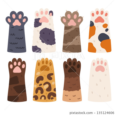 Cat Paws Row, Domestic Animal Foot Isolated on White Background. Collection of Various Cute Kitten Legs, Funny Pet Paws 135124606