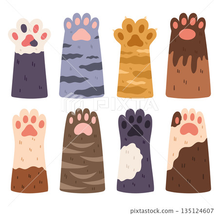 Cat Paws Set, Collection Of Various Cute Kitten Legs, Domestic Animal Foot Isolated On White Background Cat Paws Set, Collection Of Various Cute Kitten Legs, Domestic Animal Foot Isolated On White Background 135124607