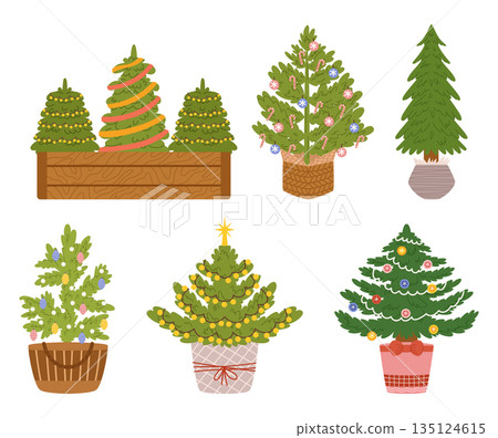 Set Of Christmas Trees In Pots, A Symbol Of Festive Cheer And Sustainability. These Potted Evergreens Bring Joy 135124615