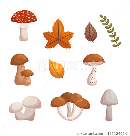 Set Of Forest Mushrooms. Various Fungi Found In Depths Of The Forest, Displaying An Array Of Shapes, Sizes, And Colors 135124624