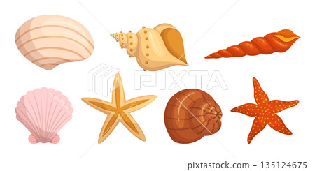 Seashells And Starfish Set Isolated On White Background. Shells Adding Touch Of The Ocean To Any Decor Seashells And Starfish Set Isolated On White Background. Shells Adding Touch Of The Ocean To Any Decor 135124675