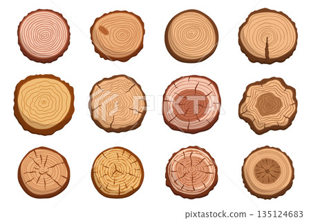 Collection Of Tree Trunk Cross Sections, Displaying Unique Patterns And Textures. Perfect For Rustic Decor, Woodworking Collection Of Tree Trunk Cross Sections, Displaying Unique Patterns And Textures. Perfect For Rustic Decor, Woodworking 135124683