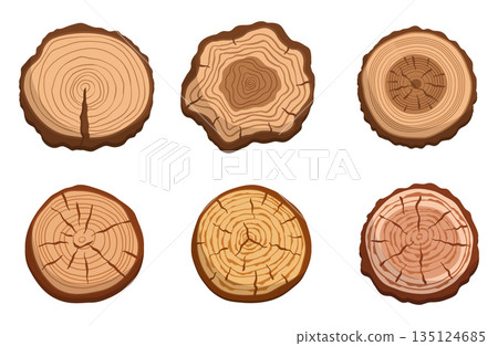 Set Of Tree Trunk Cross Sections, Featuring Circular Slices Showcasing Unique Growth Rings And Natural Wood Patterns 135124685