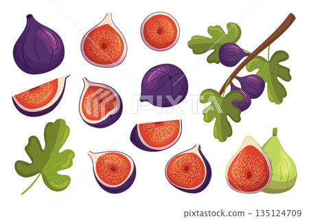 Set Of Figs Sweet, Juicy, Crunchy Fruits And Fig Tree Branches With Leaves. Desserts With Smooth Skin And Red Flesh 135124709