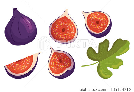 Set Of Figs Sweet, Juicy Fruits And Tree Leaf. Isolated Fig With Soft Skin And Unique Texture And Small Edible Seeds Set Of Figs Sweet, Juicy Fruits And Tree Leaf. Isolated Fig With Soft Skin And Unique Texture And Small Edible Seeds 135124710
