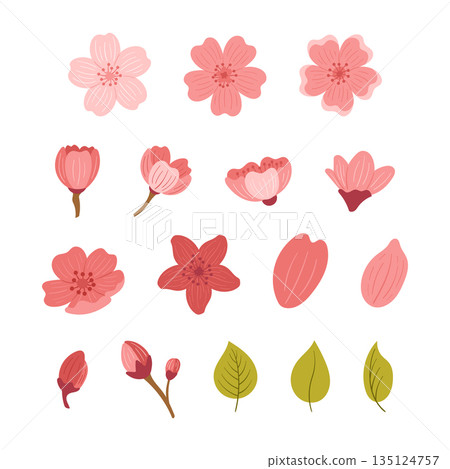 Set Of Cherry Flowers, Leaves And Petals Isolated On White Background. Sakura Blossoms And Blooming Buds Elements 135124757