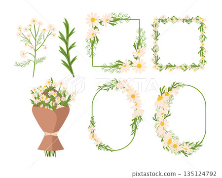 Set Of Chamomile Flowers Frames, Bouquet And Isolated Blossoms For Creating Gentle And Calming Atmosphere Set Of Chamomile Flowers Frames, Bouquet And Isolated Blossoms For Creating Gentle And Calming Atmosphere 135124792