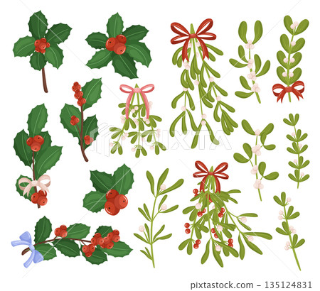 Festive Mistletoe And Holly Berry Branches Set. Holiday Decor, Features Vibrant Red Berries And Lush Green Leaves Festive Mistletoe And Holly Berry Branches Set. Holiday Decor, Features Vibrant Red Berries And Lush Green Leaves 135124831
