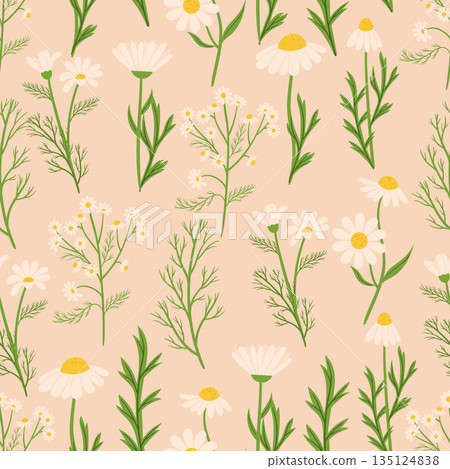 Seamless Pattern Featuring Chamomile Flowers. Background With Delicate Design Of Repeating Floral Ornament For Textiles 135124838
