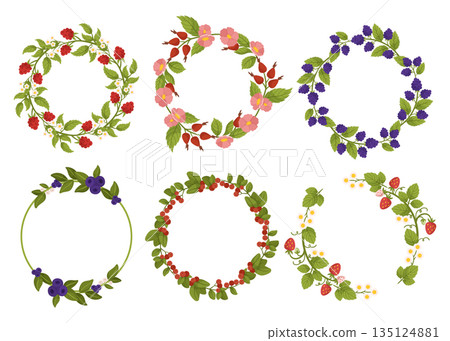 Delightful Set Of Frames Adorned With Vibrant Berries Raspberry, Blackberry, Rosehip, Blueberry And Strawberry 135124881
