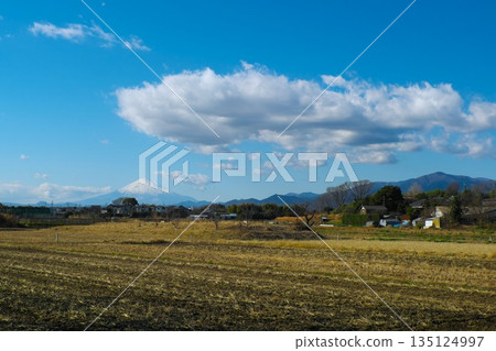 A rural landscape during the off-season: Mount Fuji and Mount Daisen, with large white clouds floating in the clear winter sky A rural landscape during the off-season: Mount Fuji and Mount Daisen, with large white clouds floating in the clear winter sky 135124997