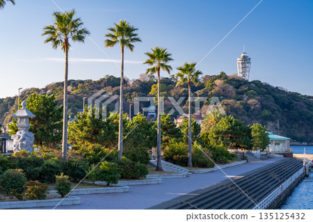 [神奈川縣]江之島的清晨風景 135125432