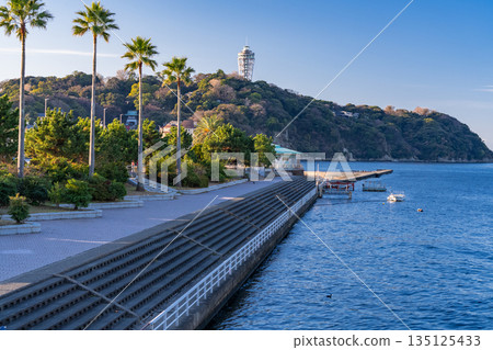 [Kanagawa Prefecture] Early morning scenery of Enoshima 135125433