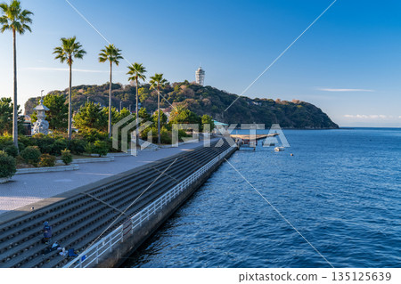 [神奈川縣]江之島的清晨風景 135125639