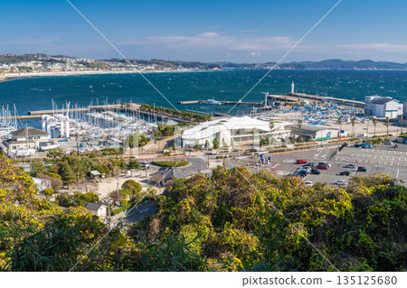 Kanagawa Prefecture: Enoshima and Shonan Port 135125680