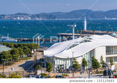 Kanagawa Prefecture: Enoshima and Shonan Port 135125683