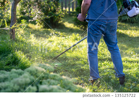 Male gardener mowing lawn with grass trimmer outdoors on sunny day 135125722