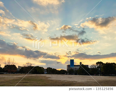 夕陽西下，陽光灑落在城市公園的景色中 135125856
