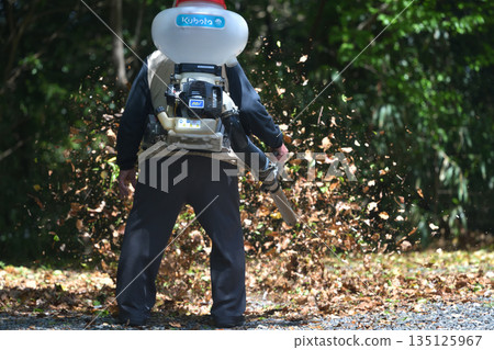 Park maintenance: Blowing away fallen leaves with an engine blower 135125967