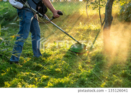 Man in jeans using grass trimmer for lawn care in backyard garden 135126041