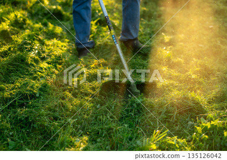 Man in jeans using grass trimmer for lawn care in backyard garden 135126042