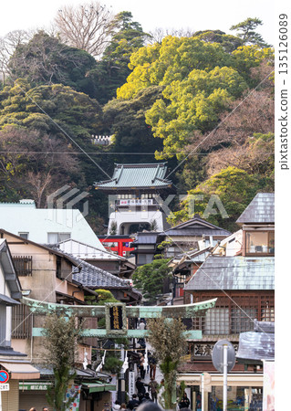 [Kanagawa Prefecture] Enoshima Benzaiten Nakamise Street 135126089