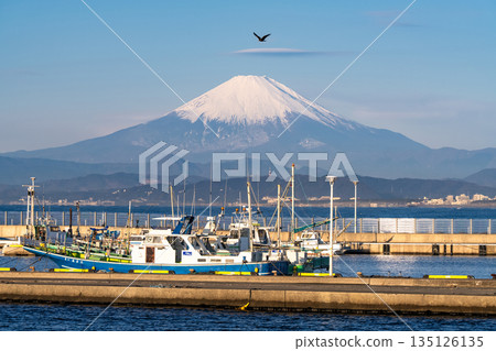 <Kanagawa Prefecture> Katase Fishing Port overlooking Mount Fuji 135126135