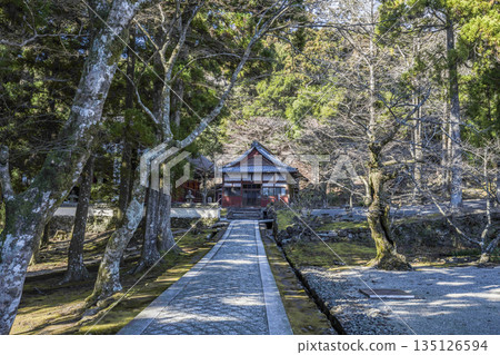 淺草岳金剛正寺(一月)院內 淺草岳金剛正寺(一月)院內 135126594