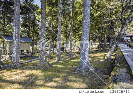 淺草岳金剛正寺(一月)院內 淺草岳金剛正寺(一月)院內 135126711