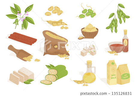 Soy products mega set elements in flat cartoon graphic design. Bundle objects of flower plant, beans, sauce, vegan milk, flour, meat with protein substitute, tofu cheese, other. Vector illustration. 135126831