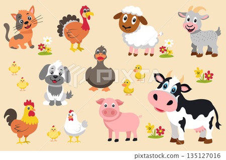 Cute farm animals mega set elements in flat graphic design. Bundle objects of funny cat, turkey, sheep, goat, chicks with chicken and rooster, dog, duck with duckling, cow, pig. Vector illustration. Cute farm animals mega set elements in flat graphic design. Bundle objects of funny cat, turkey, sheep, goat, chicks with chicken and rooster, dog, duck with duckling, cow, pig. Vector illustration. 135127016