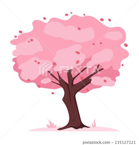 Japanese sakura tree blooming in flat design. Beautiful cherry blossoms. Vector illustration isolated. 135127121