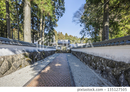 淺草岳金剛正寺(一月)院內 淺草岳金剛正寺(一月)院內 135127505