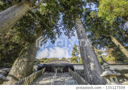 Kongoshoji Temple on Mount Asakuma (January) Stone steps to the Maniden (main hall) Kongoshoji Temple on Mount Asakuma (January) Stone steps to the Maniden (main hall) 135127509