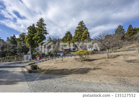 淺草岳金剛勝寺(1月) 淺草岳金剛勝寺(1月) 135127552