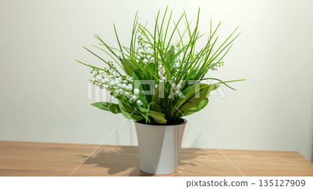 Lush greenery with lily of the valley in white pot on wooden table Lush greenery with lily of the valley in white pot on wooden table 135127909