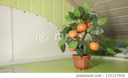 Miniature potted citrus tree with green leaves and orange fruits on indoor table Miniature potted citrus tree with green leaves and orange fruits on indoor table 135127938
