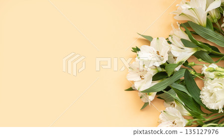White alstroemeria flowers on soft peach background White alstroemeria flowers on soft peach background 135127976