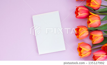 Blank card with vibrant tulips on pastel background Blank card with vibrant tulips on pastel background 135127992