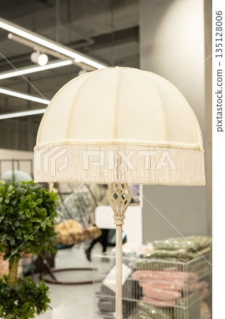 Vintage fringe lamp in modern setting with indoor plants Vintage fringe lamp in modern setting with indoor plants 135128006