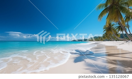 Tropical beach. Summer vacation on a tropical island with beautiful beach and palm trees. Tropical Maldives. 135128067