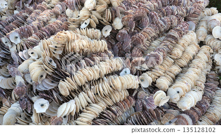 Scallops Seashells 135128102