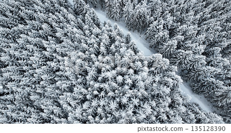 Top view aerial landscape of dense snow covered evergreen forest with winding winter road. Cold season nature background with frosted trees, white snow texture and natural pattern. Ideal for winter Top view aerial landscape of dense snow covered evergreen forest with winding winter road. Cold season nature background with frosted trees, white snow texture and natural pattern. Ideal for winter 135128390