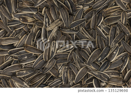 Full frame close up sunflower seeds Full frame close up sunflower seeds 135129698